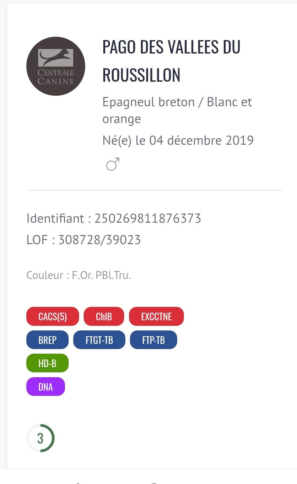 Pago champion international de beauté côté 3