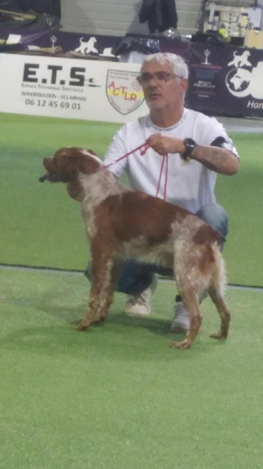 Concours CACIB, CACS, meilleur de la race obtenu